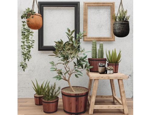 Jardinières rondes en bois