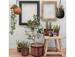 Jardinières rondes en bois